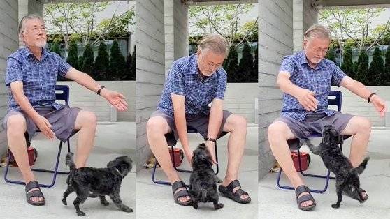 지난 30일 평산마을 비서실이 인스타그램을 통해 공개한 문재인 전 대통령의 영상. 문 전 대통령이 반려견 ‘토리’와 놀아주고 있다. [인스타그램 캡처]