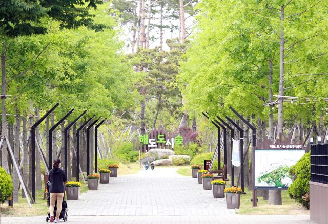 포항은 지난 해 해도숲(30년간 780t 탄소 흡수량 인증, 현재 가치 2700만원)으로도 온실가스배출권 거래제 승인을 받아 전국 지자체 중 유일하게 2곳을 보유한 지역이 됐다. 문정임 기자