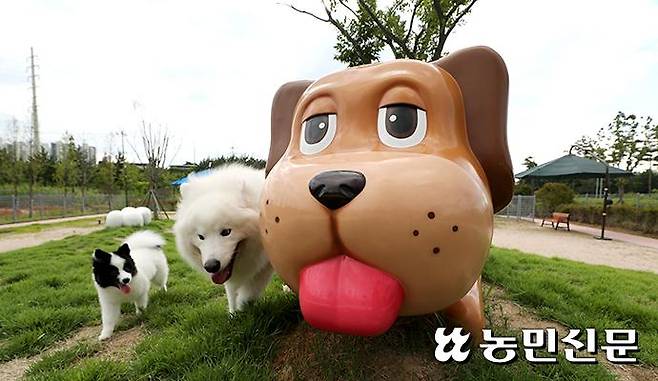 경남 진주휴게소 반려견 놀이터에서 삼일이(왼쪽)와 꾸까가 뛰어놀고 있다.