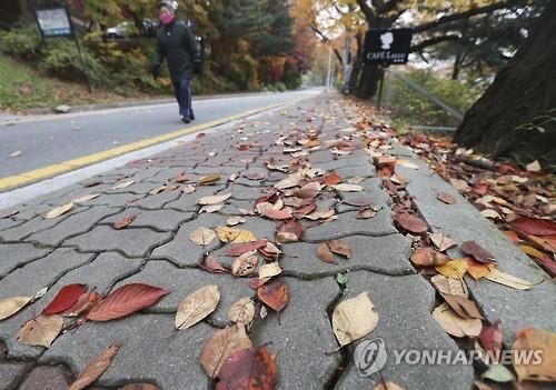 우암산 순환도로  [청주시 제공. 재판매 및 DB 금지]