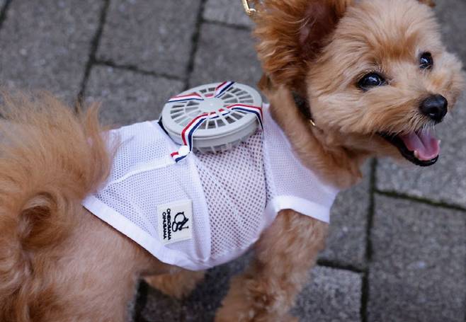 일본 의류업체 ‘스위트 마미’가 수의사들과 협력해 개발한 반려동물용 착용형 선풍기 ‘쿨 도그’(Cool Dog). (사진=@interaksyon 트위터)