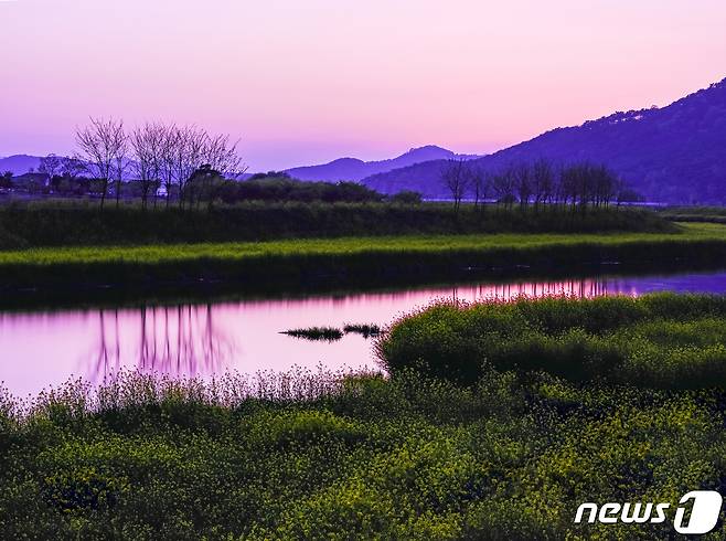 전북 고창군이 주관한 ‘경관지구 영상·사진 공모전’ 당선작이 공개됐다.  사진부문 금상을 수상한 박성환 작가의 '고인돌천 아침'(고창군 제공)ⓒ 뉴스1