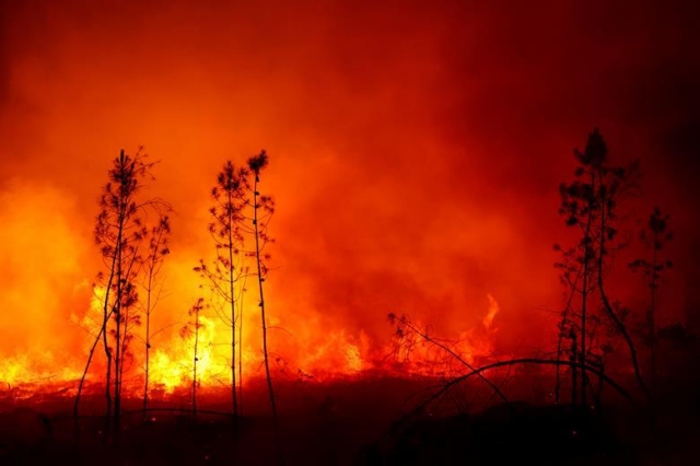 지난달 17일 프랑스 남서부 지롱드 지역에서 발생한 산불에 숲이 타고 있는 모습. 프리미어 크리스채너티 제공