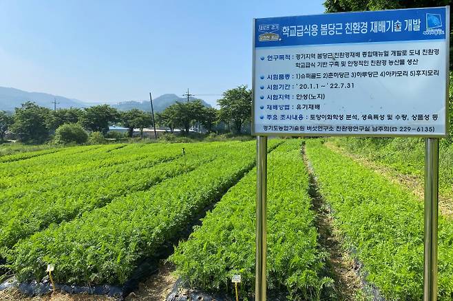 ′봄당근 친환경 재배기술 개발 연구' 시험포장. / 사진제공=경기도