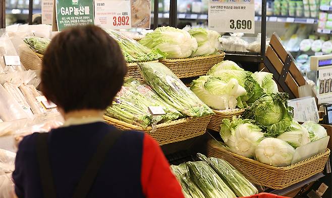 지난달 소비자물가지수가 작년 같은 달보다 6.3% 올랐다. 특히 폭염과 잦은 비 영향으로 채소류 가격이 25.9% 급등했다. 배추 가격은 1년 새 72.7% 급등했다. 사진은 2일 서울의 한 대형마트에 진열된 배추. 연합뉴스