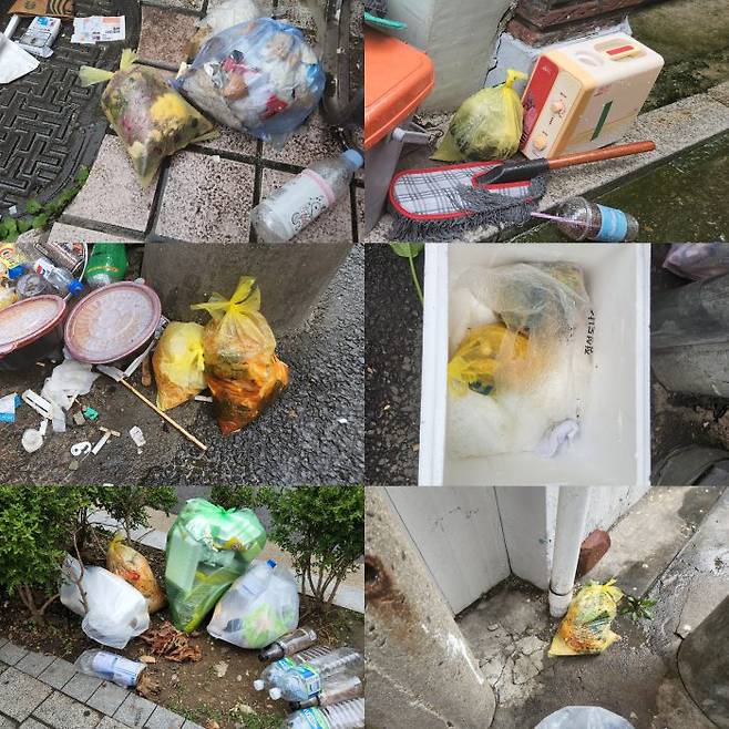지난 2일 관악구 한 원룸촌 일대를 돌아본 결과 상당수 건물들이 음식물 쓰레기 전용 배출통을 설치하지 않고 길가에 모아두고 있었다.(사진=이데일리 장시온 인턴기자)