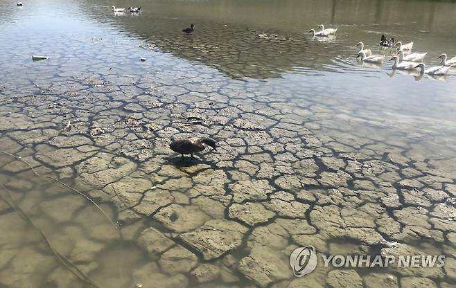 [기후위기현장을 가다] 물 말라가는 멕시코 저수지 (산티아고[멕시코 누에보레온주]=연합뉴스) 고미혜 특파원 = 멕시코 북부 몬테레이 지역에 물을 공급하는 산티아고 라보카 댐 저수지가 2일(현지시간) 오랜 가뭄으로 메말라 바닥을 드러내고 있다. 2022.8.4. mihye@yna.co.kr