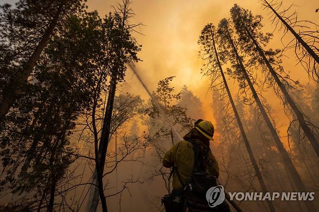 미국 캘리포니아 요세미티 국립공원 산불  [AFP 연합뉴스 자료사진. 재판매 및 DB 금지]