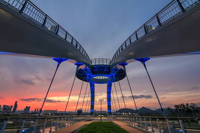 금강보행교 전망대 야경.