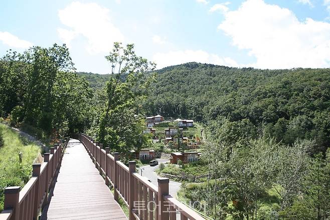 보성 자연휴양림