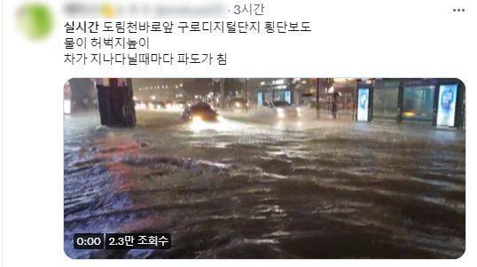 트위터 캡처