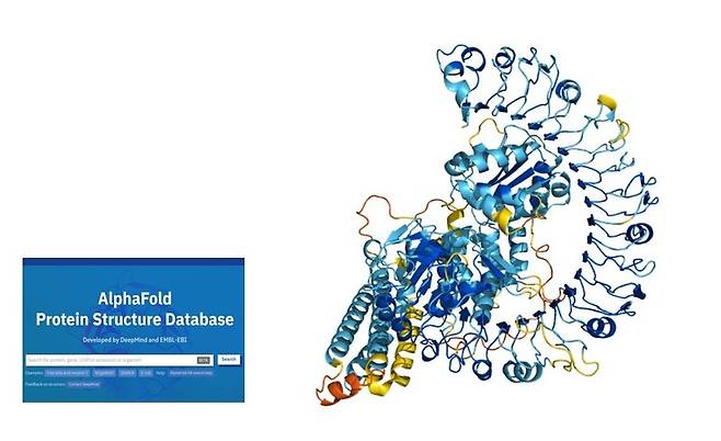 단백질은 아미노산 사슬이 이리저리 접히면서 독특한 3차원 구조를 이룬다. 단백질 3차원 구조는 신약과 백신 개발을 비롯해 생명과학의 여러 분야에서 중요하게 다뤄지지만 그 구조를 파악하는 데에는 많은 시간과 비용이 들어간다. 인공지능 알파폴드는 최근 아미노산 서열 정보를 바탕으로 2억1400만개 단백질의 3차원 구조를 예측해 연구자들에게 공개했다. 그림은 알파폴드 단백질 구조 데이터베이스(왼쪽)에서 검색된, 질병 저항성을 띠는 식물 단백질의 3차원 구조. 알파폴드 데이터베이스 누리집 갈무리