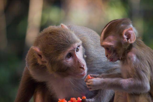 게티이미지뱅크