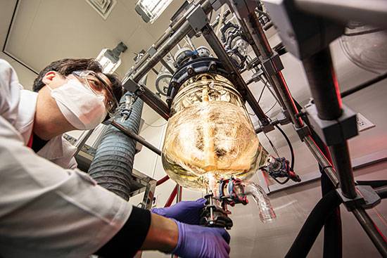 (일동제약 제공)