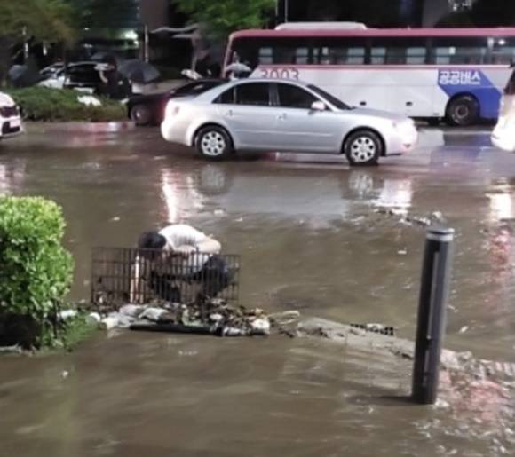 실시간 강남역 슈퍼맨 - 침수된 강남역 인근에서 한 남성이 8일 혼자 맨손으로 도로변 배수관 덮개를 열어 쌓여 있던 쓰레기를 치우고 있다. 직후 도로에 고인 물이 순식간에 빠졌다. 온라인커뮤니티 캡처