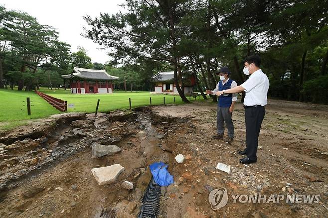 헌릉·인릉 현장 점검하는 최응천 문화재청장 (서울=연합뉴스) 최응천 문화재청장(오른쪽)이 10일 서울 강남구에 위치한 사적 서울 헌릉과 인릉을 방문해 현장 점검을 하고 있다. 2022.8.10 [문화재청 제공. 재판매 및 DB 금지] photo@yna.co.kr