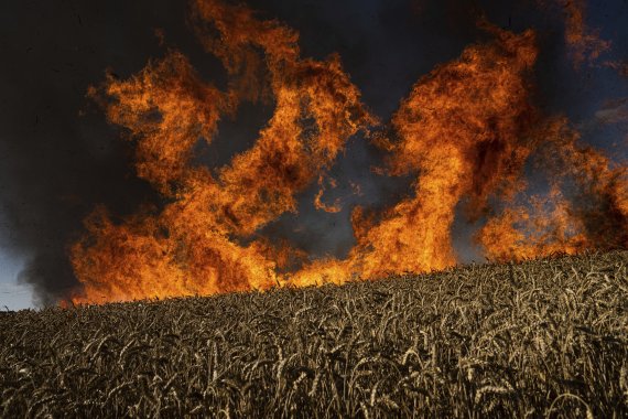 지난 7월 29일(현지시간) 우크라이나 하르키우의 접경지역 인근 밀밭이 러시아군의 포격으로 불에 타고 있다. 사진=뉴시스
