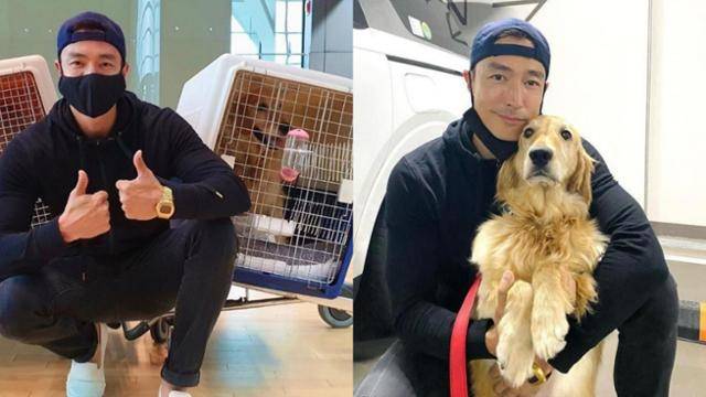 다니엘 헤니가 강아지 공장에서 구조한 골든 레트리버 '로지'를 미국으로 데려간 데 이어 입양 전까지 임시보호 봉사를 했다. 다니엘 헤니 인스타그램 캡처