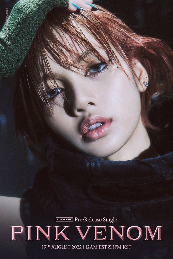 블랙핑크 `Pink Venom’ 타이틀 포스터가 공개됐다.사진=YG 제공
