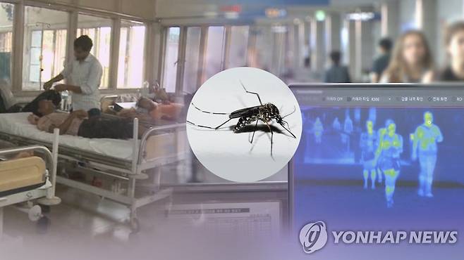 모기매개 감염병·뎅기열 (CG) [연합뉴스TV 제공]