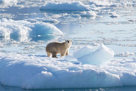 핀란드 기상연구소가 11일(현지시간) 북극 온난화가 예측보다 빠르게 진행되고 있다고 밝혔다. [이미지출처=로이터연합뉴스]