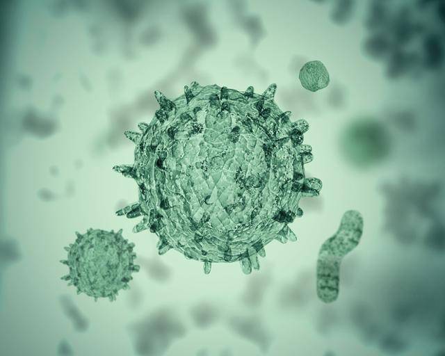 코로나 바이러스. 게티이미지뱅크