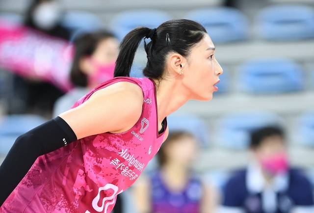 한국배구연맹 제공