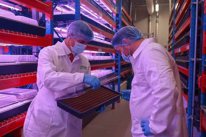 에미레이트항공 기내식 공급용 수직 농장 ‘부스타니카’ 내부. <제공 = 에미레이트항공>