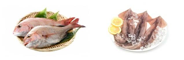 사진 왼쪽부터 참돔, 오징어 / 사진 = 해양수산부