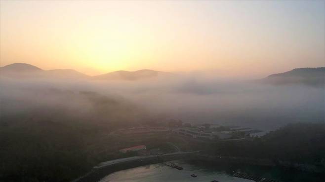 안개 낀 아침 풍경.