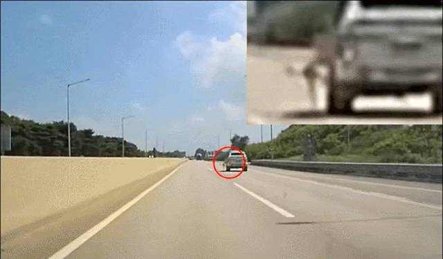 고속도로를 달리던 차량 짐칸에 타고 있던 개가 밖으로 떨어지는 아찔한 사고가 발생했다. /사진=유튜브 한문철 TV 갈무리