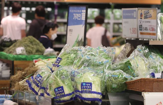 서울 시내 대형마트에 채소 판매대 모습. /연합뉴스