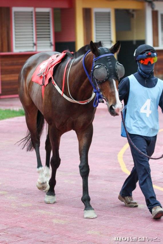 클린업해피. 사진제공=한국마사회