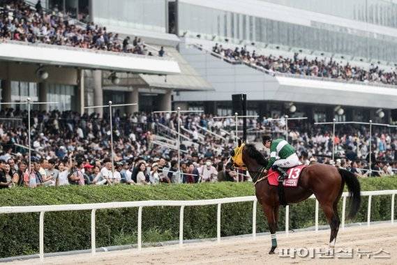 블루치퍼 2019 코리아스프린트 우승. 사진제공=한국마사회