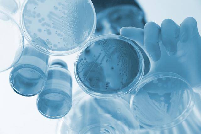 게티이미지뱅크