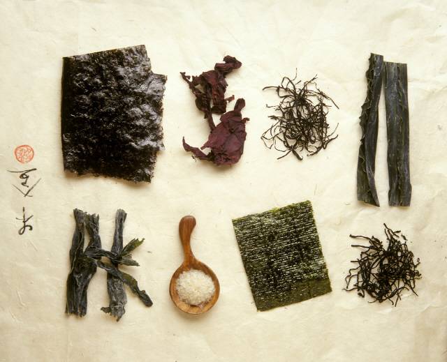 클립아트코리아 제공