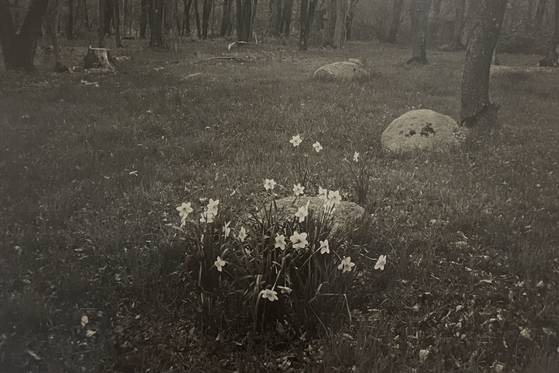 사진가 필립 퍼키스가 2007년 왼쪽 시력을 잃은 후, 처음으로 자동카메라를 이용해 촬영한 사진 12점이 류가헌에서 첫 선을 보인다. [사진 필립 퍼키스]