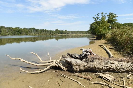 9일(현지시간) 프랑스 남서부 에흐쉬라두르에 있는 연못이 메말라 있다. 프랑스 당국은 극심한 폭염으로 인한 사상 최악의 가뭄을 해결하기 위해 위기 대응 조직을 가동, 93개 주를 '물 사용 제한 가능지역'으로 지정했으며 그중 62개 주는 가뭄 경보 최고 수준인 '위기' 경보를 발령했다. [이미지출처=연합뉴스]