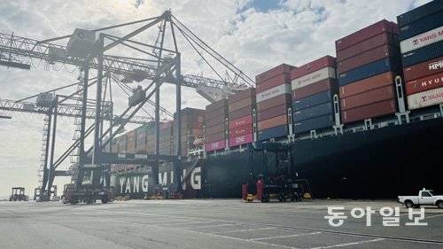 경제학자들은 코로나19 이후 발생한 공급망 병목 현상으로 경제를 읽는 것이 어려워졌다고 털어놓는다. 동아일보DB