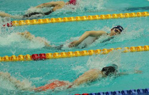 수영장 등 스포츠센터에서 기존 회원들의 텃세로 인해 고민한다는 사례가 늘고 있다. 사진은 기사와 직접적 관련이 없음. [사진 출처 = 연합뉴스]