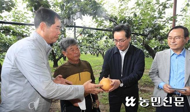 정황근 농림축산식품부 장관은 14일 충남 천안지역 햇배 수확·출하 현장을 찾아 추석 대목 배 수급 상황을 점검했다.