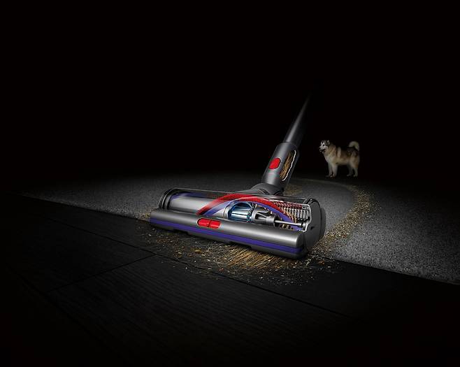 다이슨 엉킴 방지 클리너 헤드