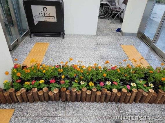 부천호수식물원 수피아 여름꽃 전시. 사진제공=부천시