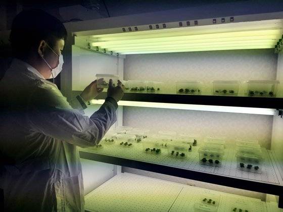 청도복숭아연구소의 가장 중요한 임무 중 하나는 신품종 개발이다. 1998년부터 2022년까지 총 14가지 품종을 개발했다. 청도복숭아연구소