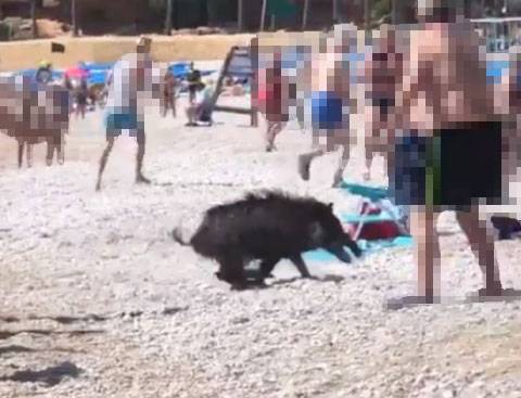 /사진=유튜브 캡처