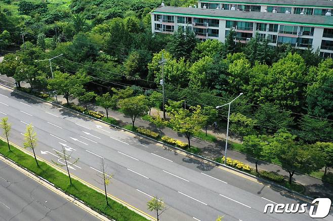 2022년 광주시 '걷고 싶은 가로수길'에 선정된 광산구 '임방울대로'. 첨단지구 입구 교차로에서 첨단 우리은행 교차로까지 약 1.2㎞ 구간이다.(광주시 제공)2022.8.16/뉴스1 ⓒ News1