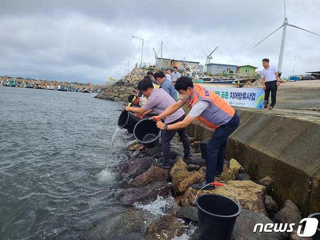 16일 전북도는 부안군 가력도 해상에서 주민들과 함께 꽃게 약 40만 마리를 방류하고 있다.(전북도제공)2022.8.16/뉴스1