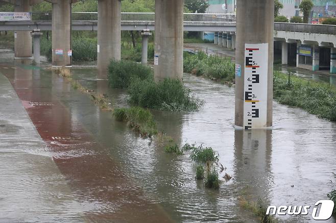 부산 동래구 온천천시민공원 보행로가 넘친 강물로 인해 잠겨 있는 모습. 2022.6.27/뉴스1 ⓒ News1 김영훈 기자