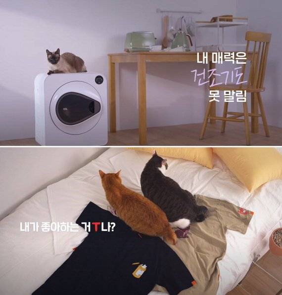 11번가의 '11키티즈' 희망상품 광고. 11키티즈가 홍보하는 31개의 희망상품 구매시, 다른 희망상품 대비 평균 2배 이상 많은 후원금을 기부할 수 있다.