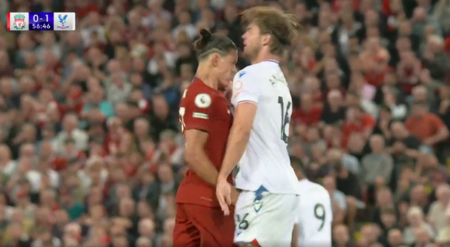 사진=데일리 스타